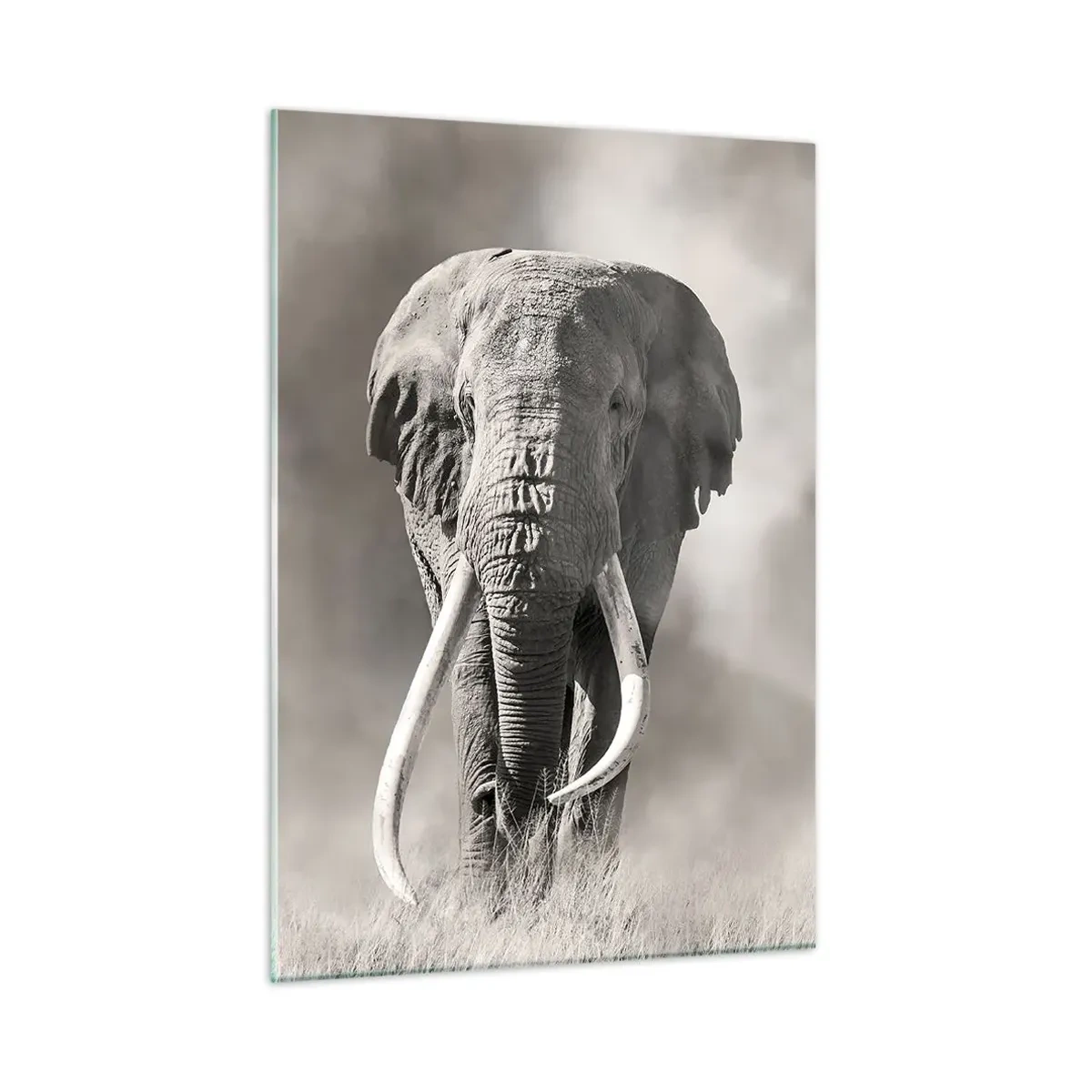 Tablou pe sticlă - Patriarh african - 50x70 cm