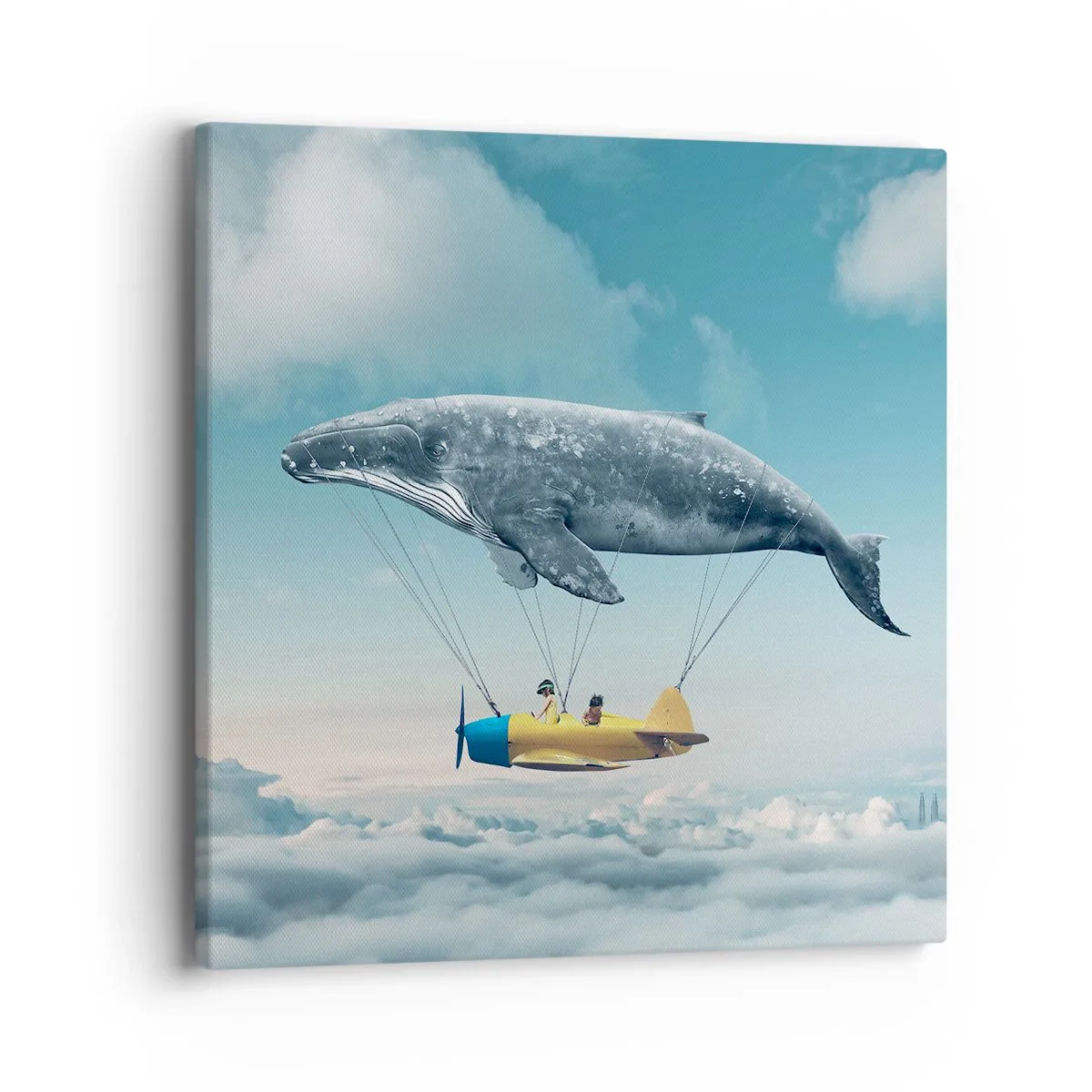 Tablou pe pânză - De ce nu? - 40x40 cm