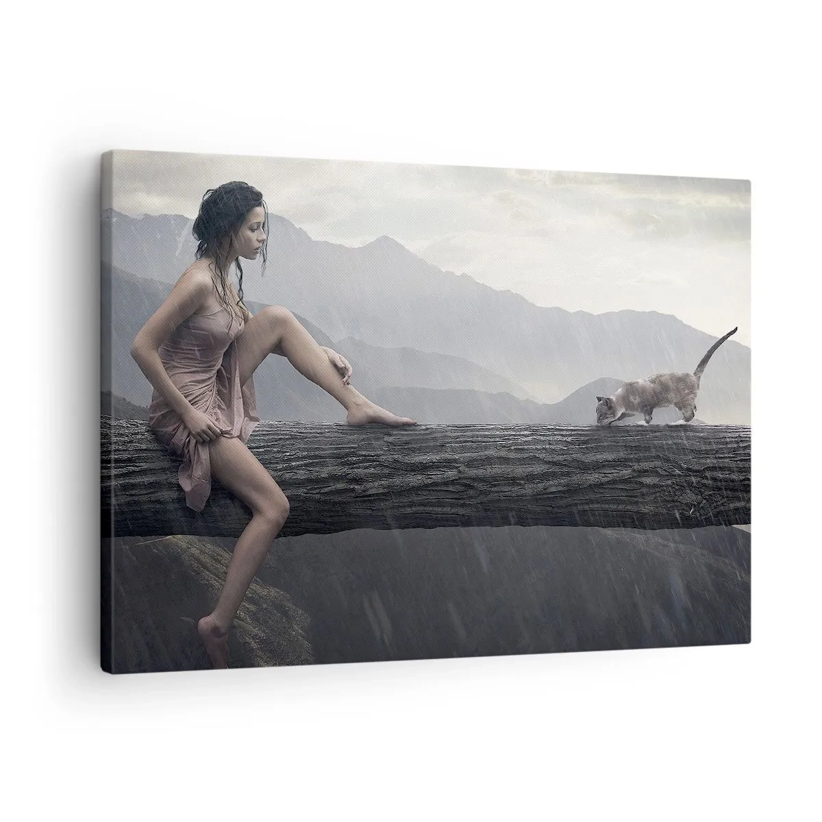 Tablou pe pânză Canvas - O femeie și o pisică pe un trunchi de copac în ploaie, cu vedere la munți. - 70x50cm - Vârfuri de frumusețe - Decorațiune modernă pentru perete pentru living și dormitor ARTTOR