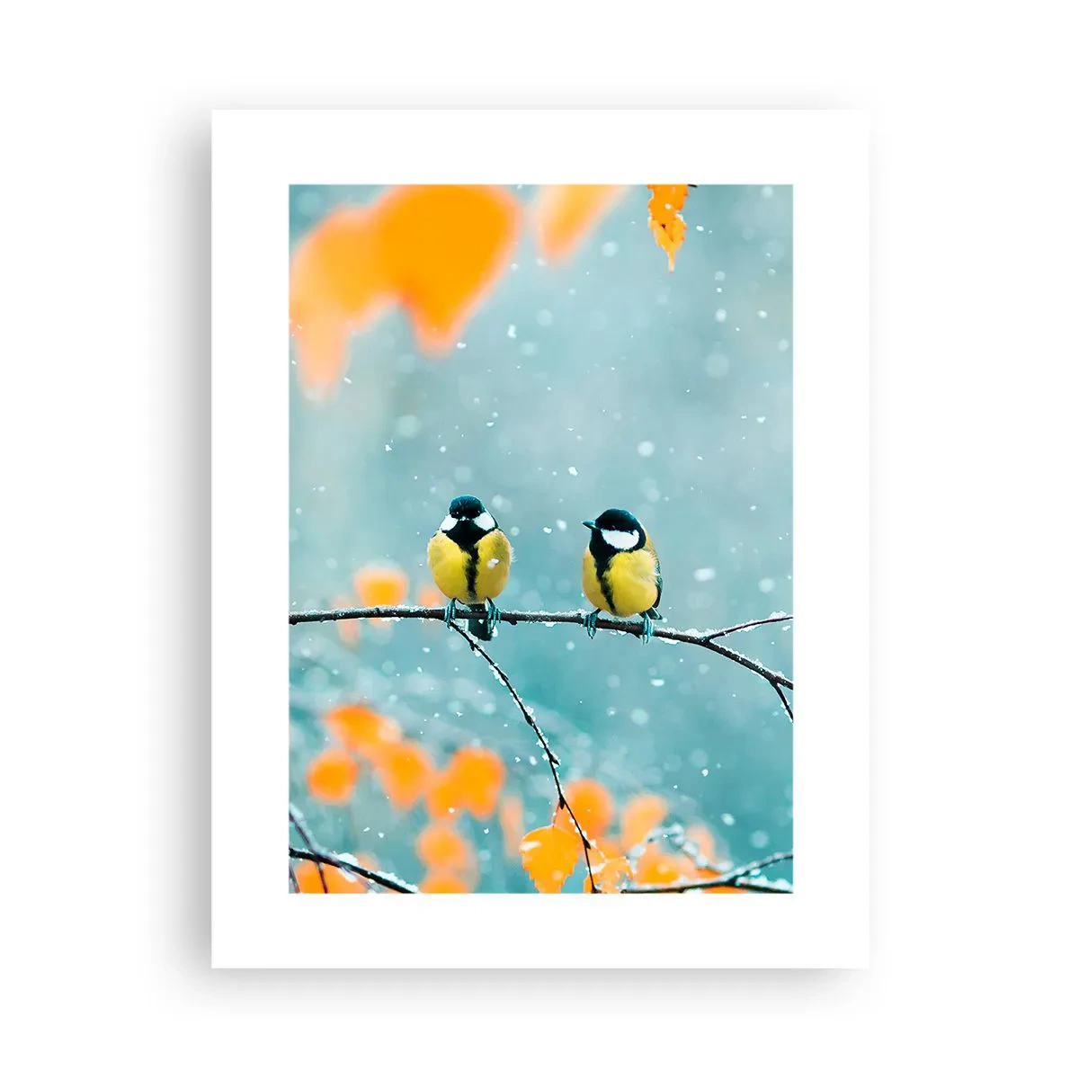 Poster - Bârfele păsărilor - 30x40 cm