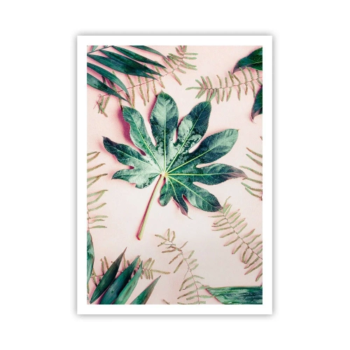 Poster - Studiu de verdeață pe un fundal roz - 70x100 cm