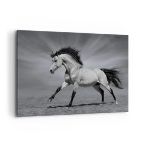 Tablou pe pânză - Născut pentru a încânta - 100x70 cm
