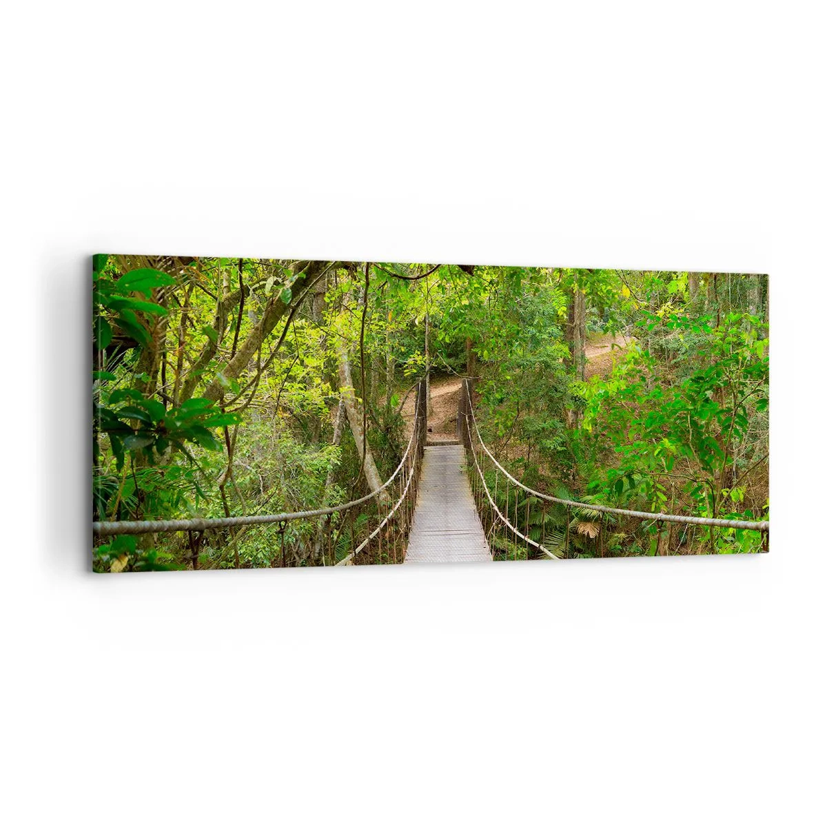 Tablou pe pânză - Pentru că în grădină crește o liană - 120x50 cm