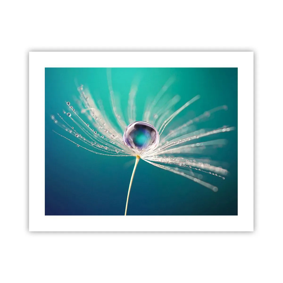 Poster - Moment mistic - 50x40 cm