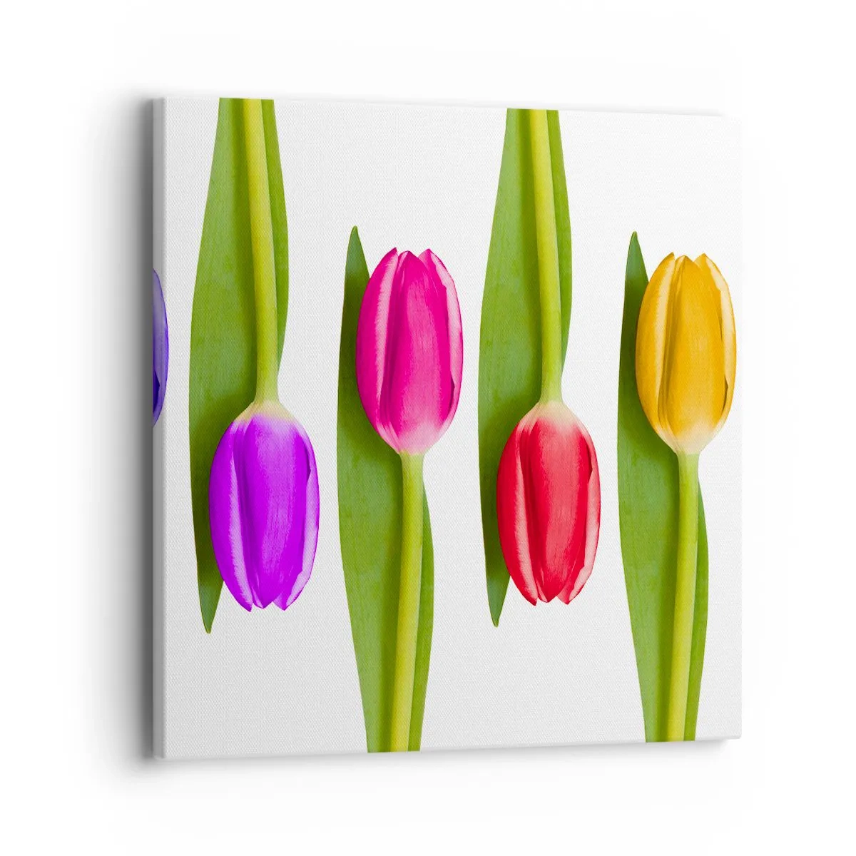 Tablou pe pânză - Compoziție curcubeu - 40x40 cm