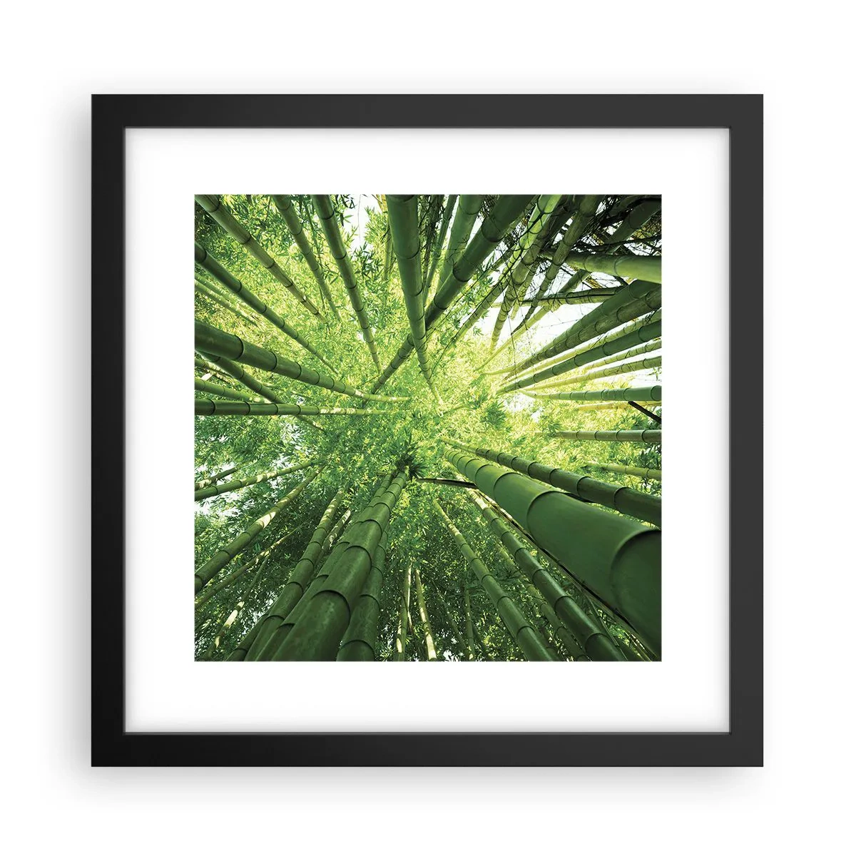 Poster în ramă neagră - Într-o pădure de bambus - 30x30 cm