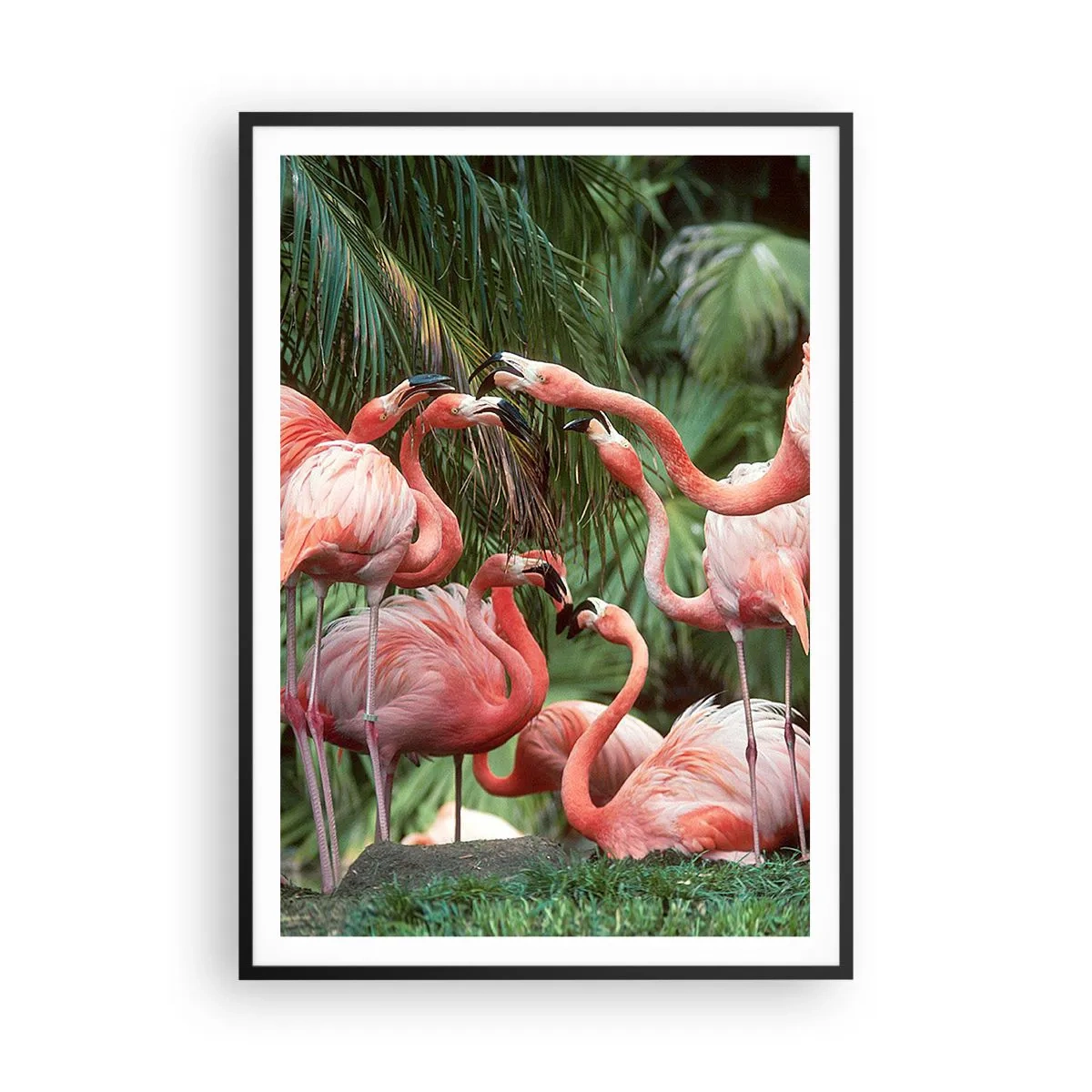 Poster în ramă neagră - Bârfa de după-amiază - 70x100 cm