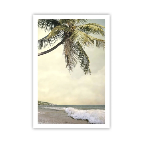 Poster - Vis tropical - 61x91 cm