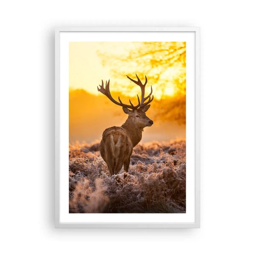 Poster în ramă albă - Regele pădurii de toamnă - 50x70 cm