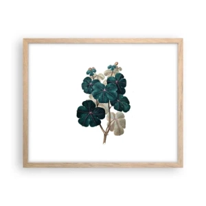 Poster în ramă de stejar deschis - Dintr-un vechi ierbar - 50x40 cm