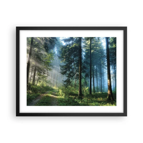 Poster în ramă neagră - Strălucirea de dimineață - 50x40 cm