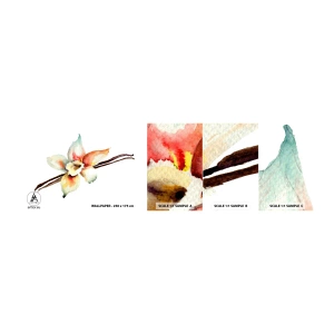 Mostră de Tapet Standard Eco - Dulceața stropită - Floare de vanilie, Floare, baton de vanilie - 100x30 cm