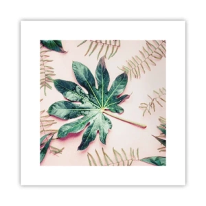 Poster - Studiu de verdeață pe un fundal roz - 30x30 cm