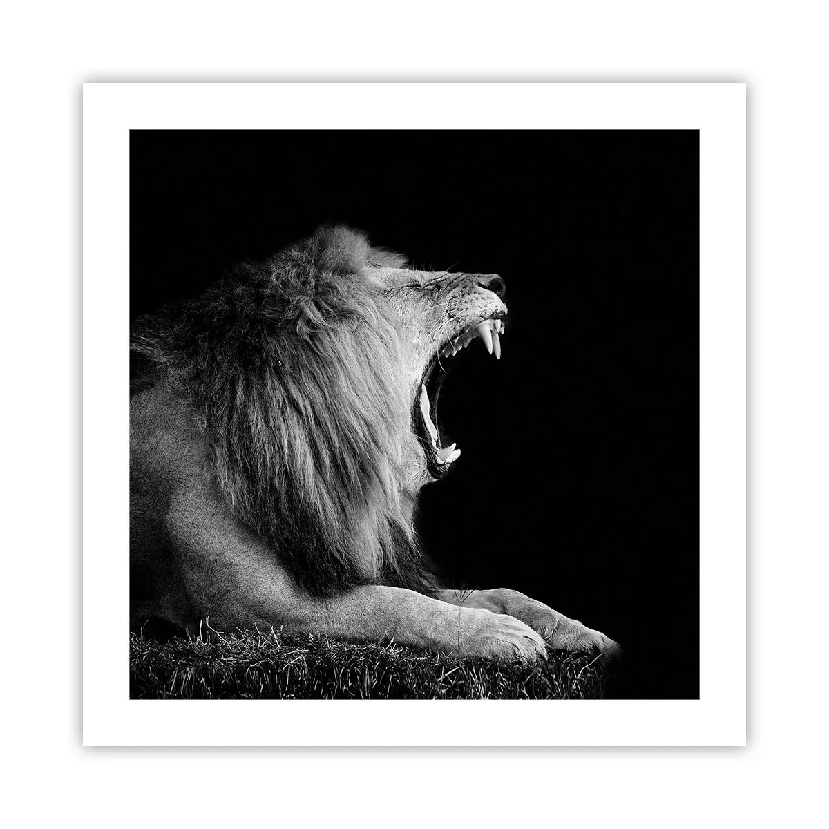 Poster - Fără nici o ezitare - 50x50 cm