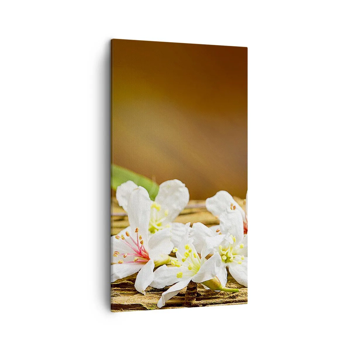 Tablou pe pânză - O promisiune nevinovată - 45x80 cm