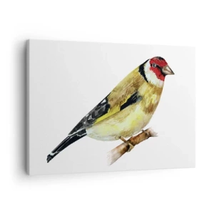 Tablou pe pânză Canvas - O pasăre cu capul roșu pe o creangă - 70x50cm - Portret de pasăre - Decorațiune modernă pentru perete pentru living și dormitor ARTTOR