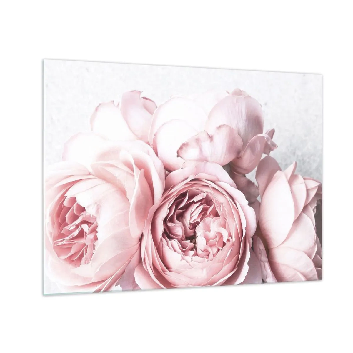 Tablou pe sticlă - Prim-plan cu flori de bujor roz în lumină blândă - 70x50cm - Pentru romantici - Decorațiune modernă pentru perete pentru living și dormitor ARTTOR