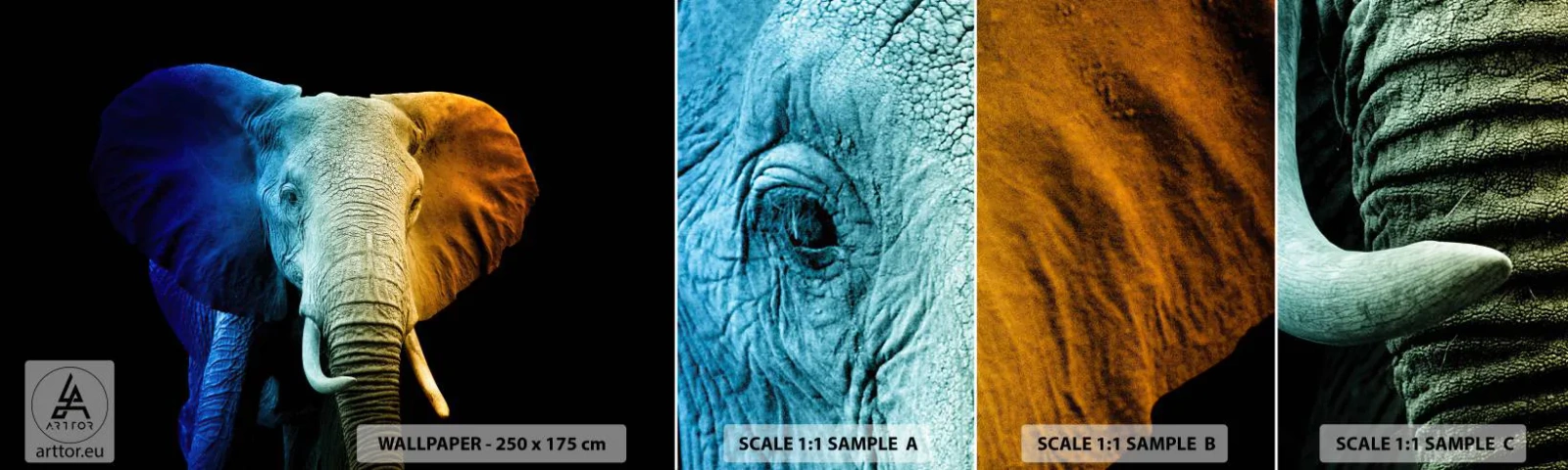 Mostră de Tapet Standard Eco - Excentric, nu ciudat - Abstracția, Elefant, Animale - 100x30 cm
