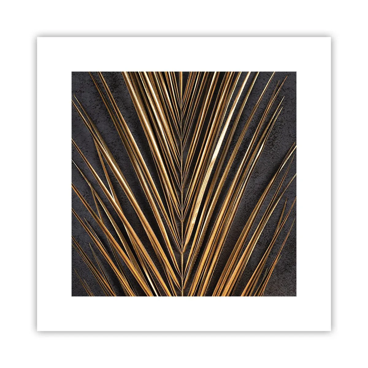 Poster - Aur tropical - 30x30 cm