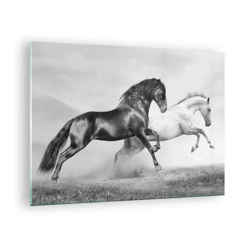 Tablou pe sticlă - Cai negri și albi într-un cadru dinamic - 70x50cm - Îngeri și demoni - Decorațiune modernă pentru perete pentru living și dormitor ARTTOR