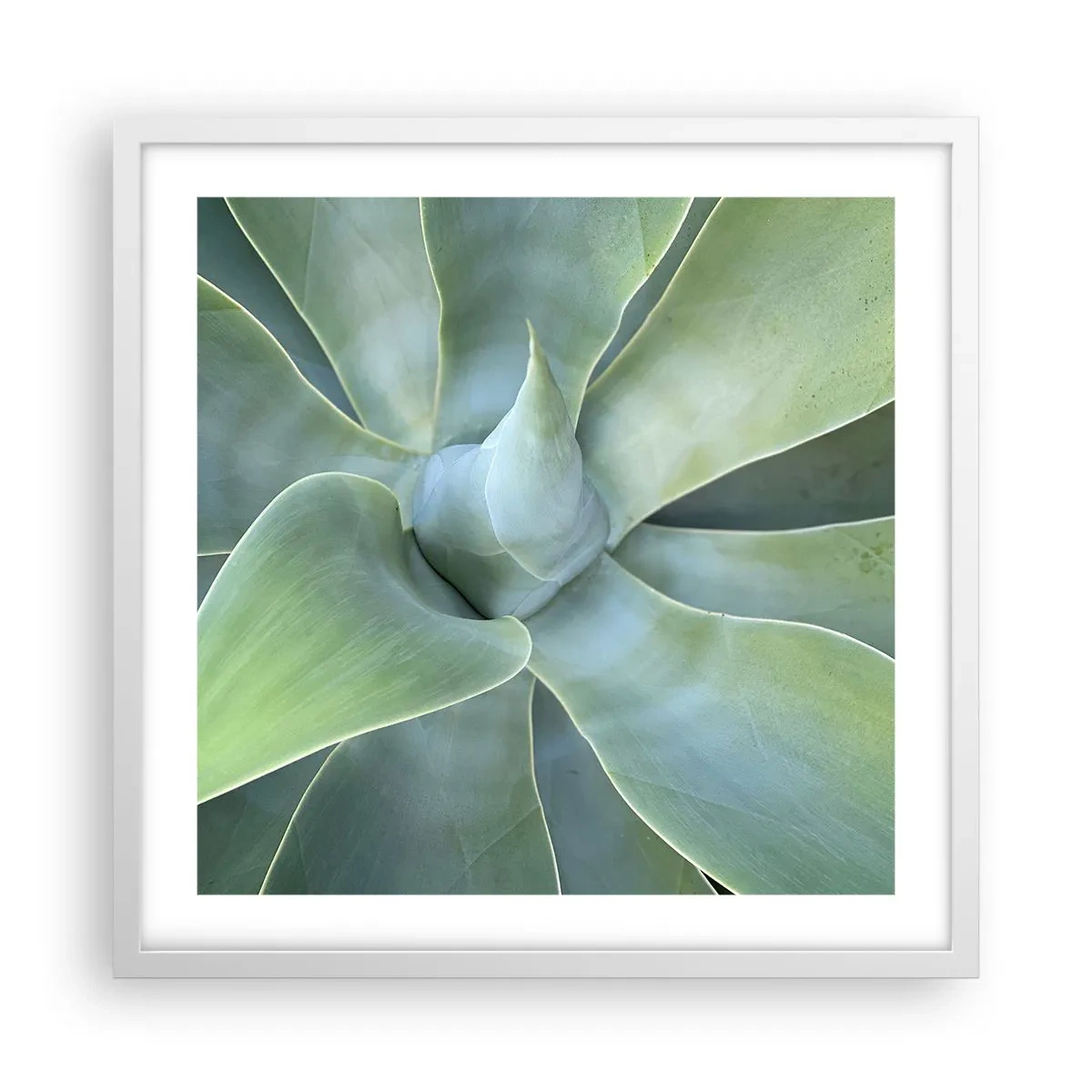 Poster în ramă albă - Nașterea verdeții - 50x50 cm