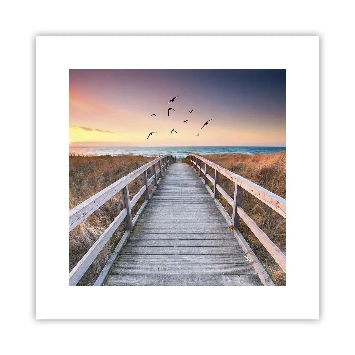 Poster - Spațiul pentru a zbura - 30x30 cm