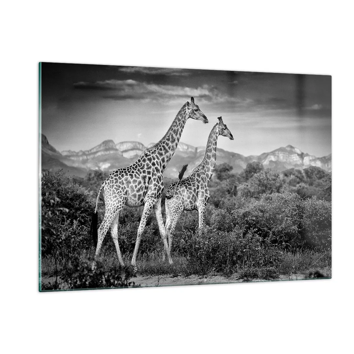 Tablou pe sticlă - Clasele superioare din Africa - 120x80 cm