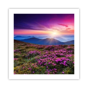 Poster - Ierburile proaspete miroseau puternic - 50x50 cm