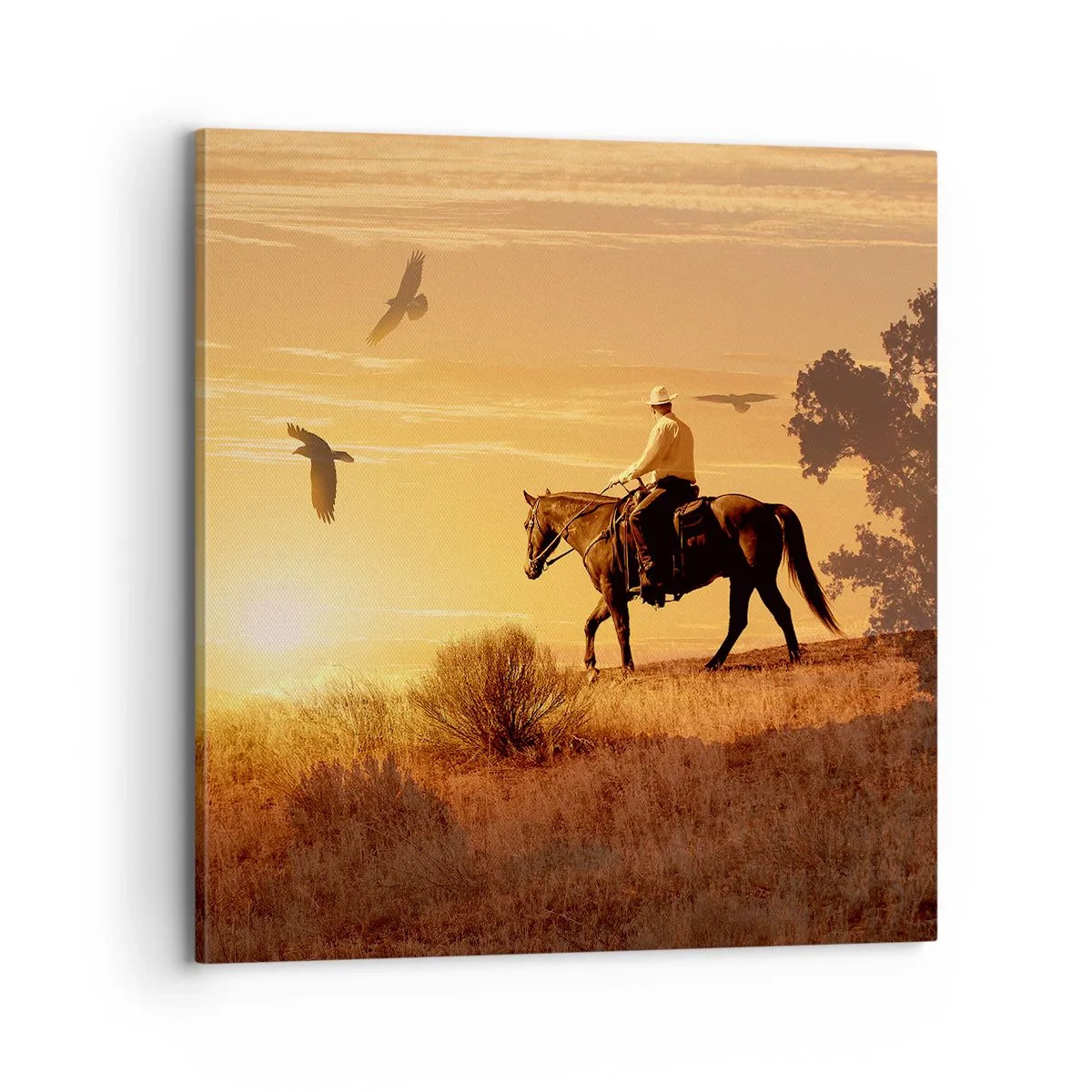 Tablou pe pânză - Singur peste prerie - 70x70 cm