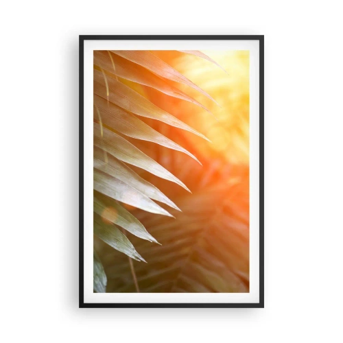 Poster în ramă neagră - Dimineață în junglă - 61x91 cm
