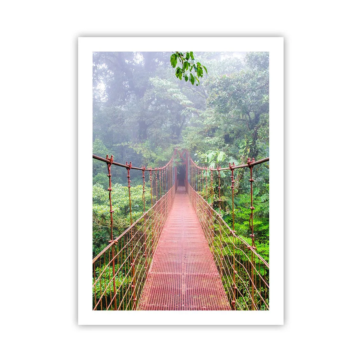 Poster - Suspendat deasupra coroanelor arborilor - 50x70 cm