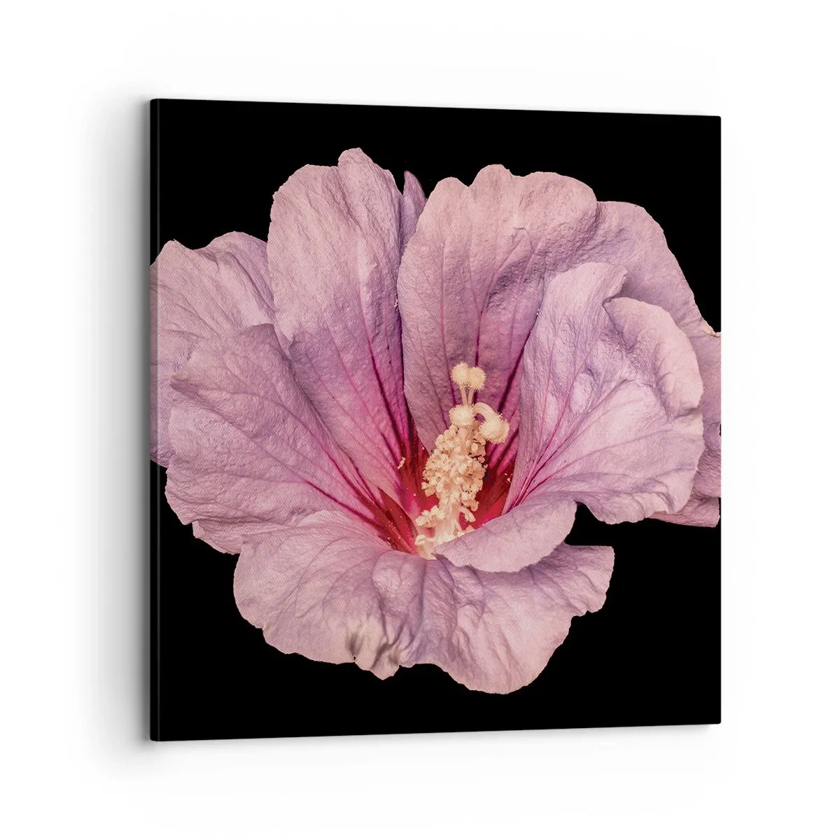 Tablou pe pânză - Direct la inimă - 70x70 cm