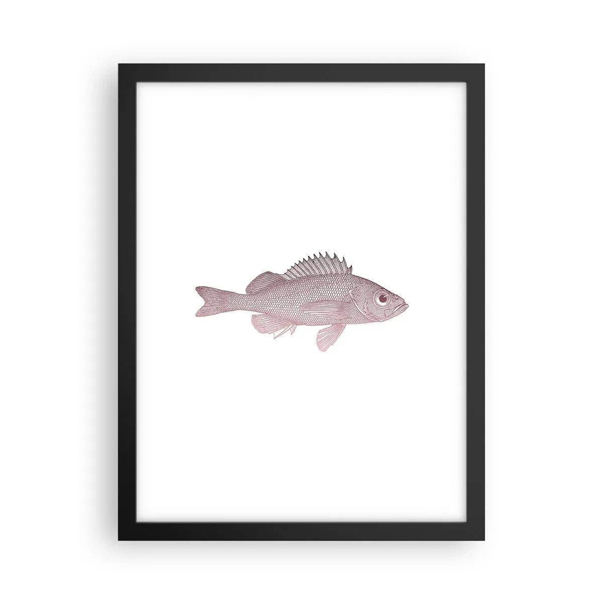 Poster în ramă neagră - Pește cu ochi mari - 30x40 cm