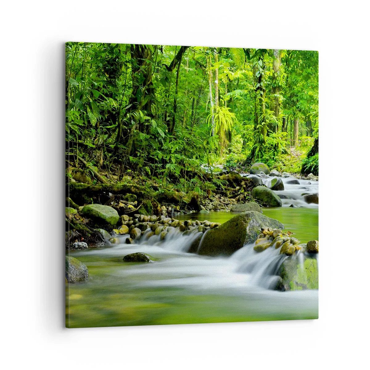 Tablou pe pânză - Să înotăm într-o mare de verde - 50x50 cm