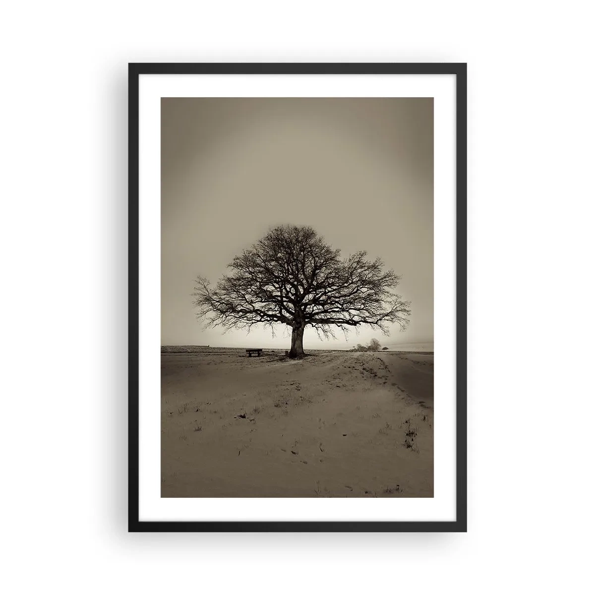 Poster în ramă neagră - Un copac singuratic într-un peisaj sepia gol - 50x70cm - De aici până în veșnicie - Decorațiune modernă pentru perete pentru living și dormitor ARTTOR