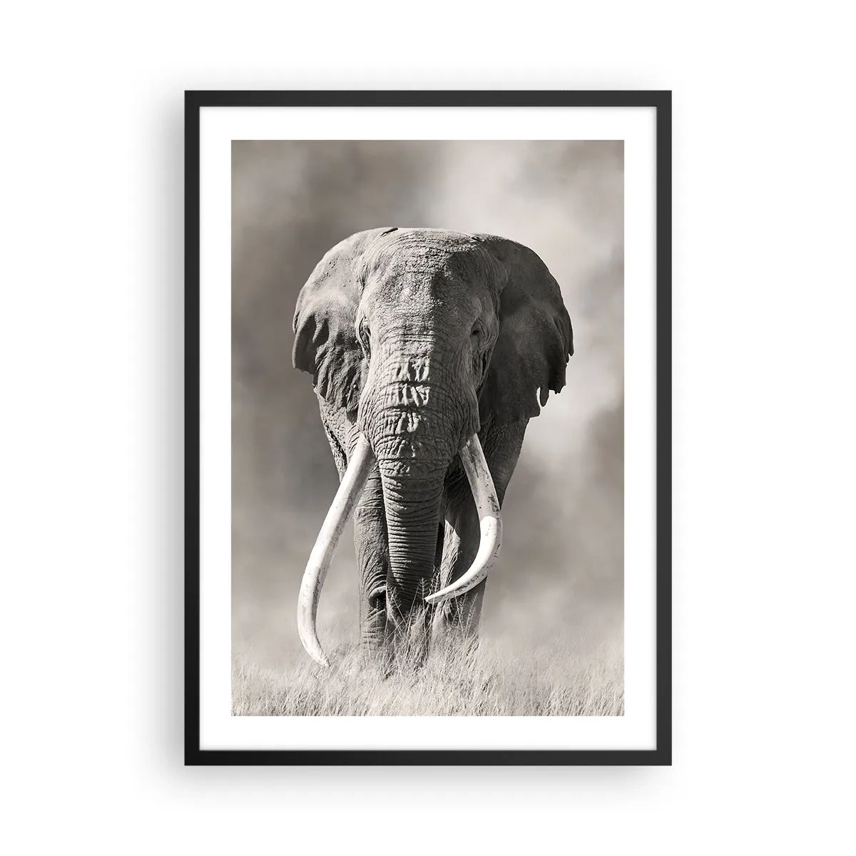 Poster în ramă neagră - Portret monocrom al unui elefant maiestuos - 50x70cm - Patriarh african - Decorațiune modernă pentru perete pentru living și dormitor ARTTOR
