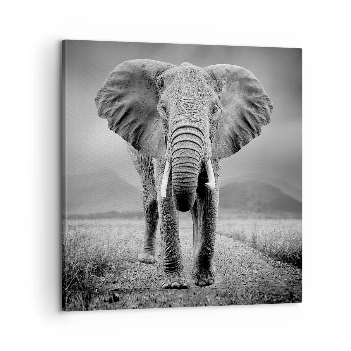 Tablou pe pânză - Gazda te salută - 60x60 cm