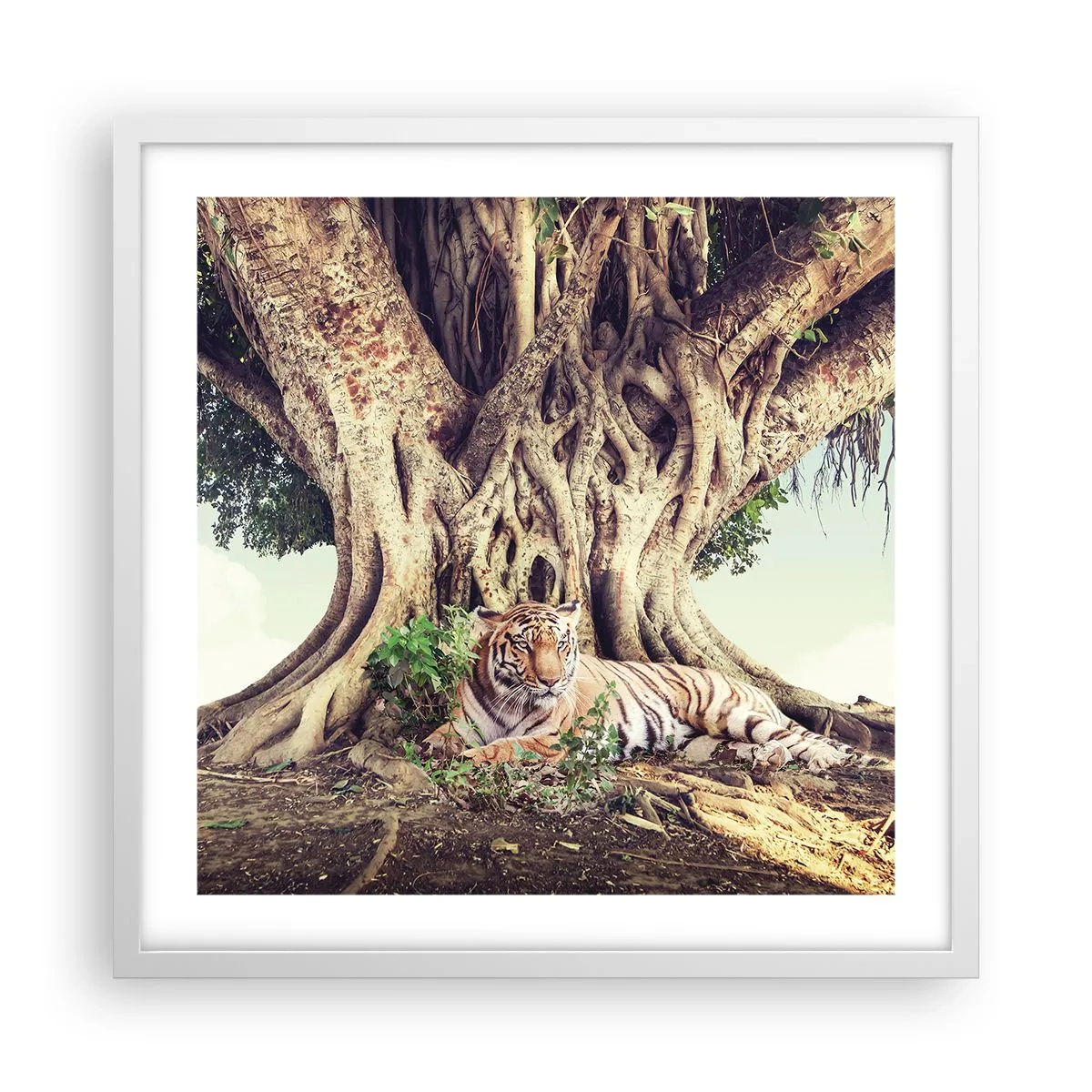 Poster în ramă albă - O perspectivă din Geneză - 50x50 cm