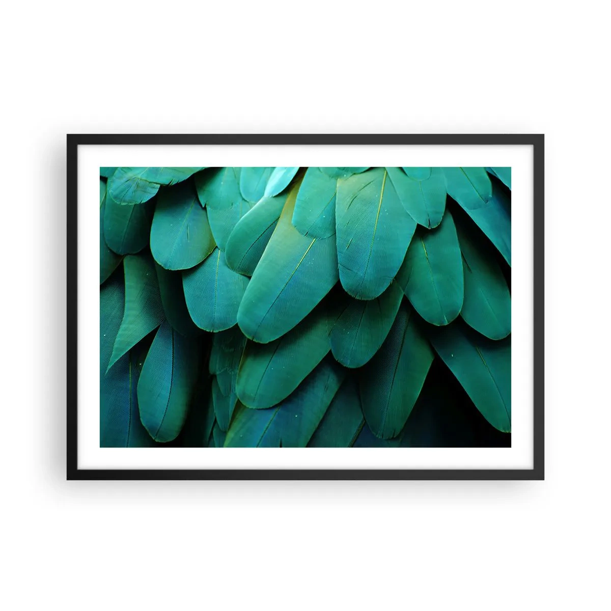 Poster în ramă neagră - Precizia naturii papagalicești - 70x50 cm
