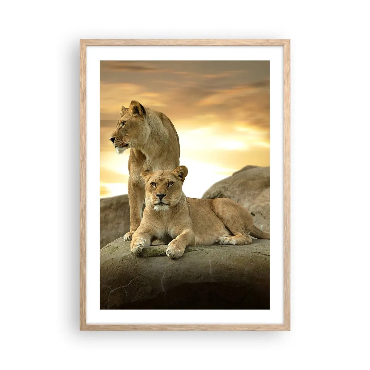 Poster în ramă de stejar deschis - Maiestate regală - 50x70 cm