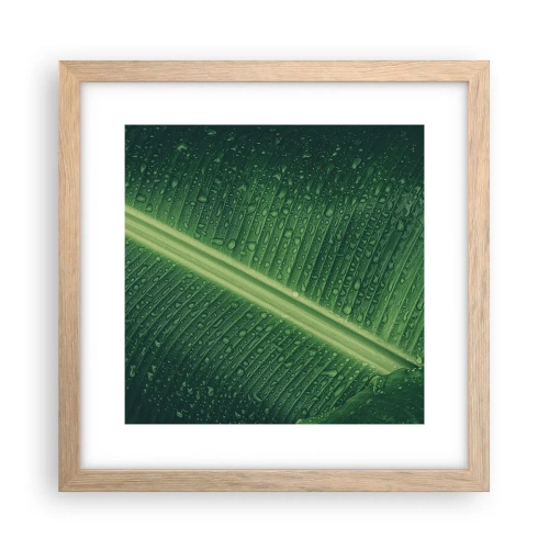 Poster în ramă de stejar deschis - Structura verdelui - 30x30 cm