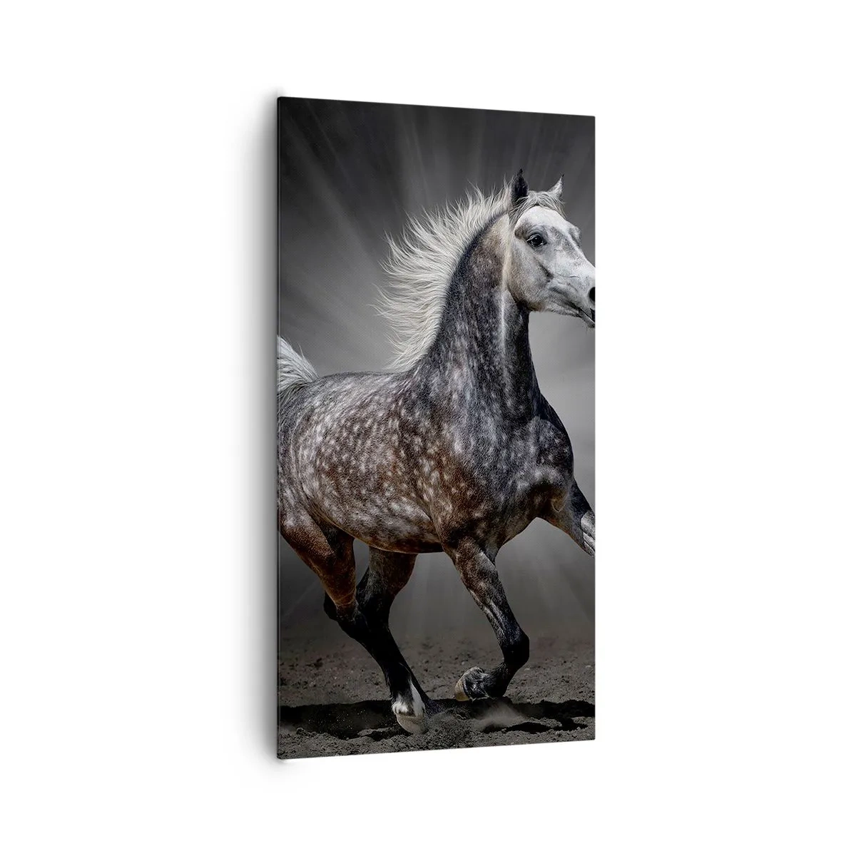 Tablou pe pânză - Griul elefantin este frumos - 65x120 cm