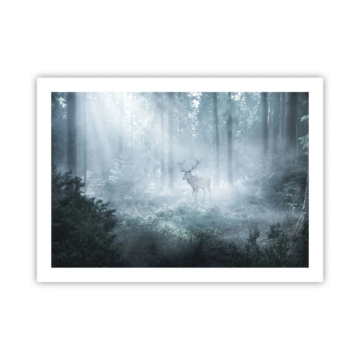 Poster - Plimbarea de dimineață prin regat - 70x50 cm