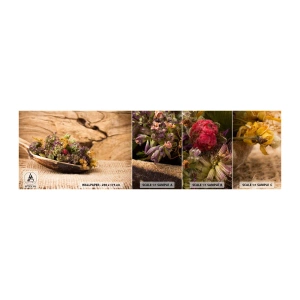 Mostră de Tapet Standard Eco - Flori colorate și ierburi parfumate - Natură, Ierburi uscate, Bucătărie - 100x30 cm