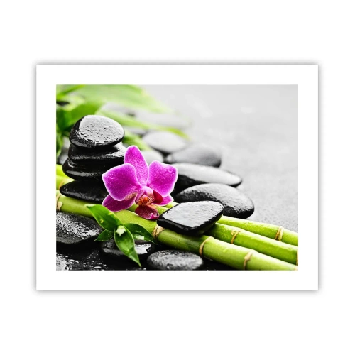 Poster - Într-un echilibru pașnic - 50x40 cm