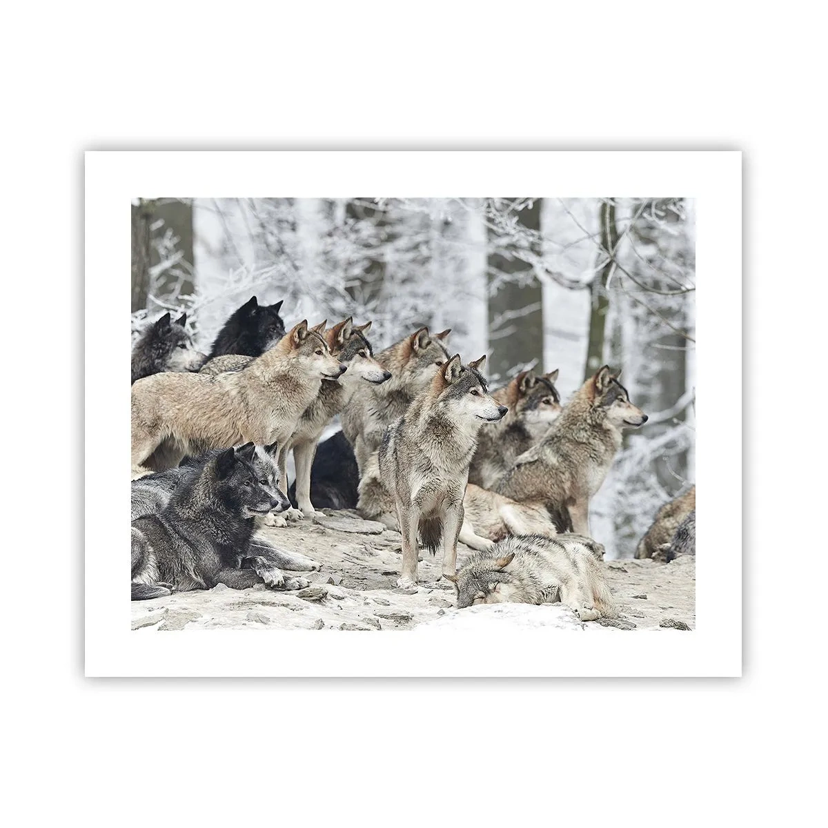 Poster - Familie și prieteni - 50x40 cm