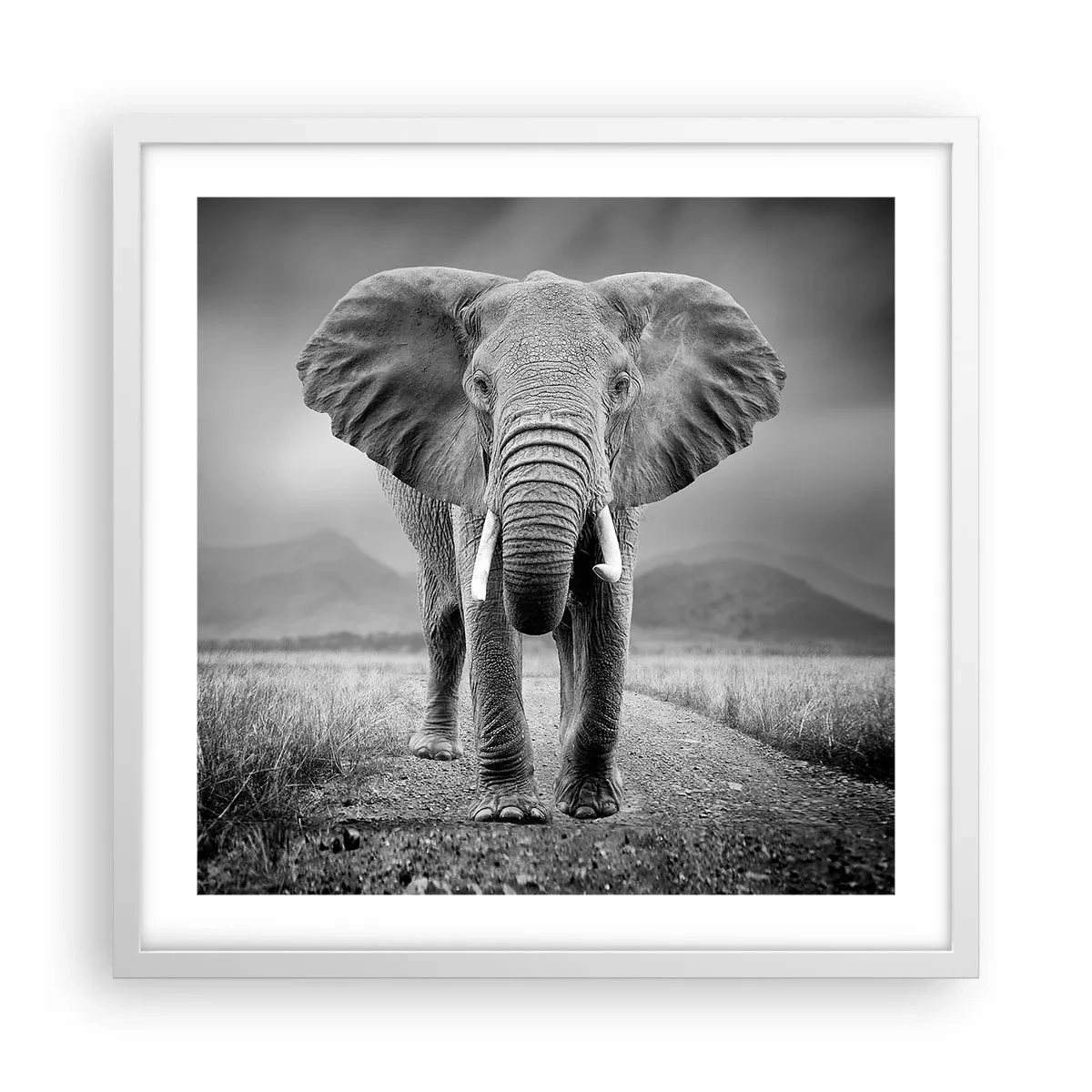 Poster în ramă albă - Gazda te salută - 50x50 cm