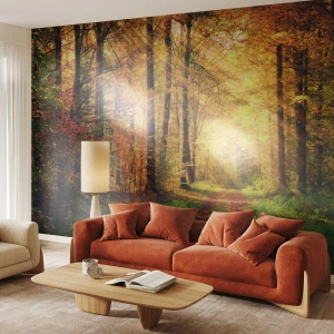 Tapet Premium Sand - Tăcere de aur de pădure - Peisaj, pădure, Drum forestier - 100x70 cm