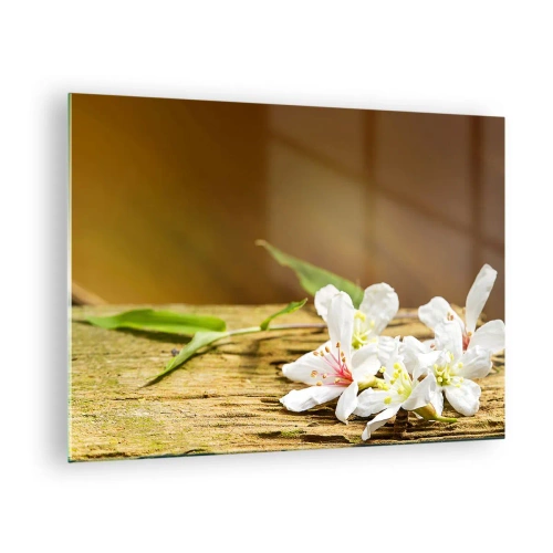 Tablou pe sticlă - Flori albe pe un fundal de lemn în lumină caldă - 70x50cm - O promisiune nevinovată - Decorațiune modernă pentru perete pentru living și dormitor ARTTOR