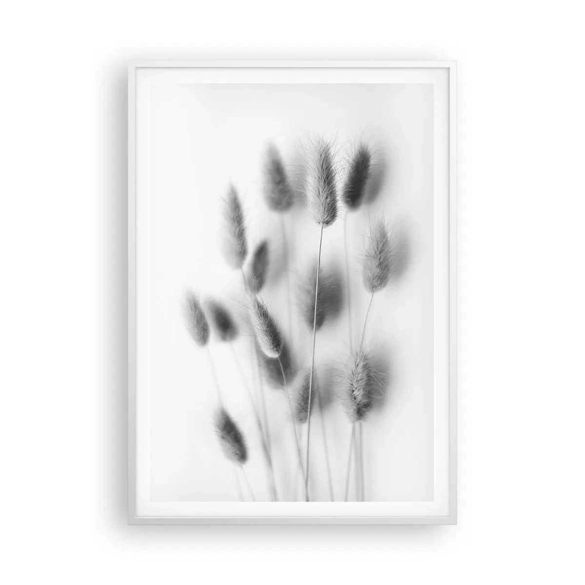 Poster în ramă albă - Pufoșenia ierbii - 70x100 cm